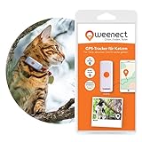 GPS-Tracker für Katzen – Weenect | GPS-Tracking in Echtzeit | Ohne Distanzlimit | Kleinstes Modell auf dem Markt | Funktioniert mit Abonnement